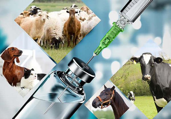 Animal Care Products
