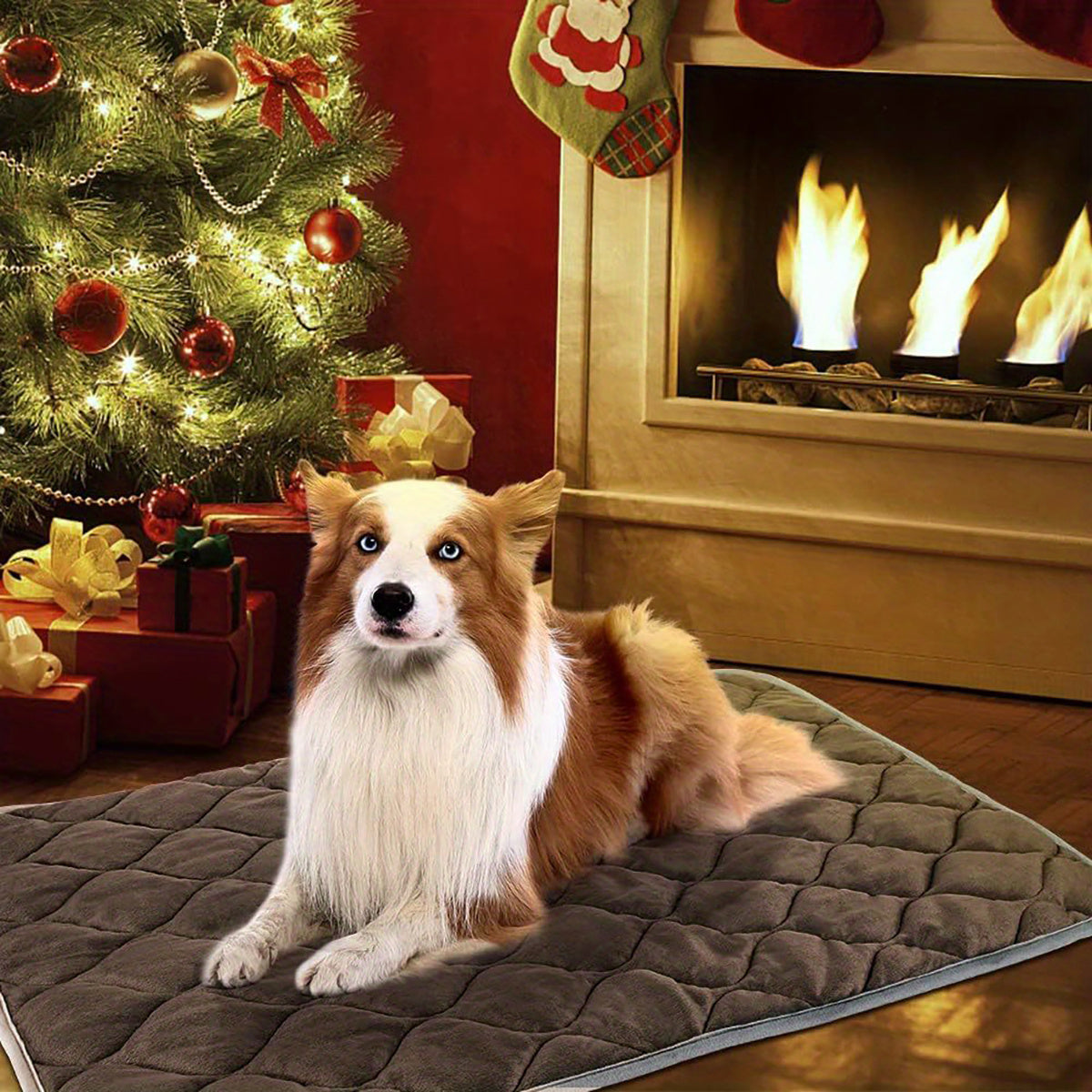 Dog Cat Bed, Cat Dog Non-Slip Mat, Extra Warm Thermal Pet Pad  Self-Heating Cat Mat Warm Thermal Pet Pad Washable Dog Crate Pad Heat Dog Cat Bed Mat Blanket Non-Slip Bottom For Outdoor And Indoor Pets - MAYONAL STORE