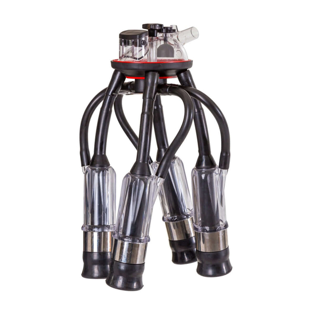 Complete cow milking unit with 4 sleeves and 240 cm³ milk collector. - MAYONAL STORE