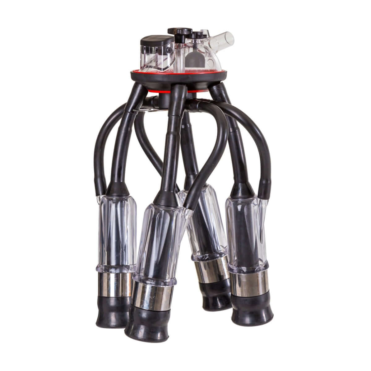 Complete cow milking unit with 4 sleeves and 240 cm³ milk collector. - MAYONAL STORE