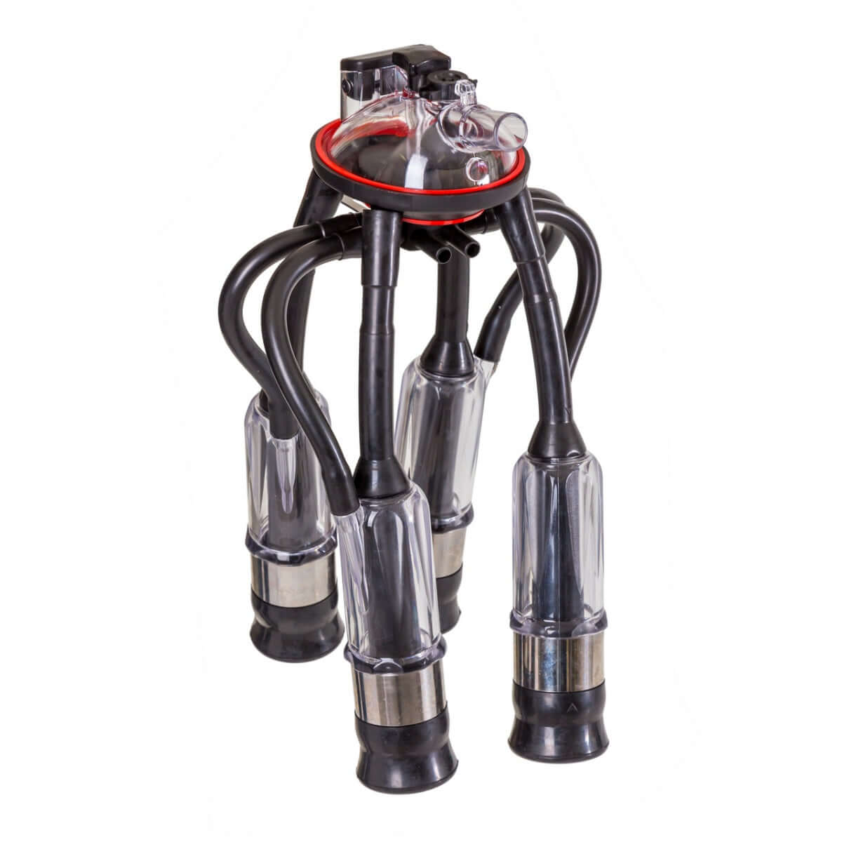 Complete cow milking unit with 4 sleeves and 240 cm³ milk collector. - MAYONAL STORE