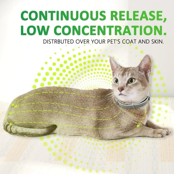 Flea And Tick Collar For Cats, 8 Months Of Cat Flea Collar Protection Made With Premium Plant Based Essential Oil Natural Treatment Prevention Free Comb And Prevention Treatment Drop - MAYONAL STORE