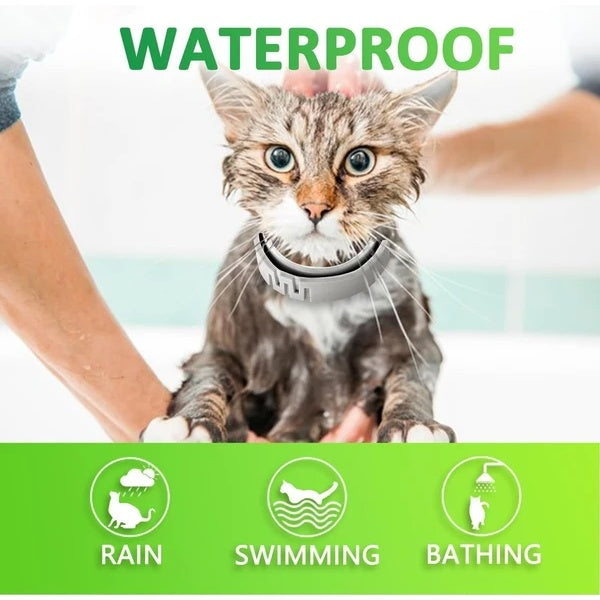 Flea And Tick Collar For Cats, 8 Months Of Cat Flea Collar Protection Made With Premium Plant Based Essential Oil Natural Treatment Prevention Free Comb And Prevention Treatment Drop - MAYONAL STORE