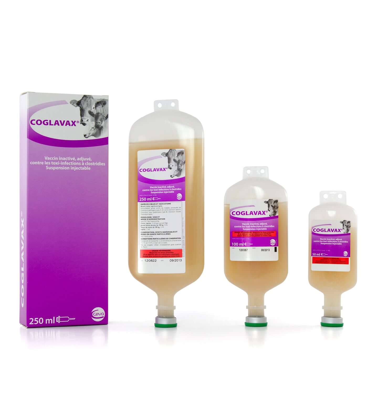 Coglavax 250 ml | Effective Injectable Solution for Cattle - MAYONAL STORE