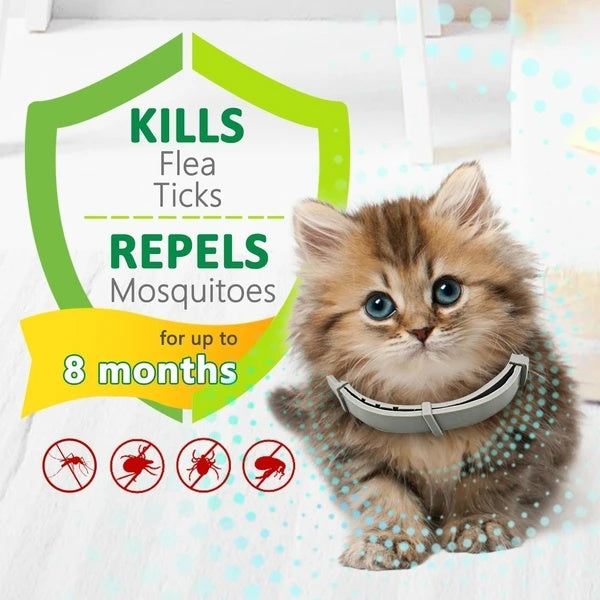Flea And Tick Collar For Cats, 8 Months Of Cat Flea Collar Protection Made With Premium Plant Based Essential Oil Natural Treatment Prevention Free Comb And Prevention Treatment Drop - MAYONAL STORE