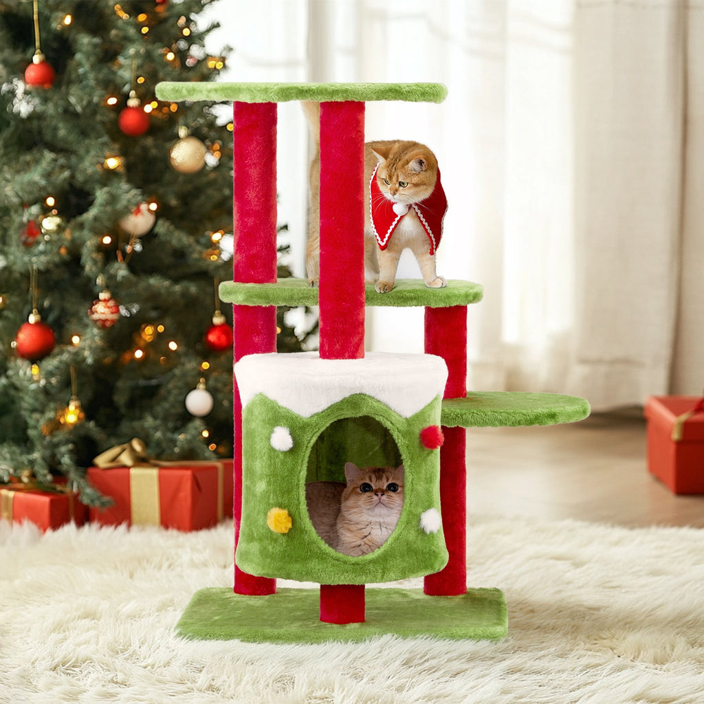 Cat Climbing Frame - MAYONAL STORE