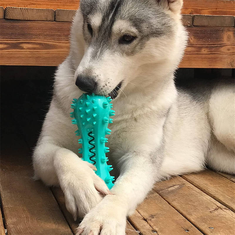 Pet Dog Cleaning Chew Toys For Aggressive Dogs Rubber Molar Stick Dog Oral Teeth - MAYONAL STORE