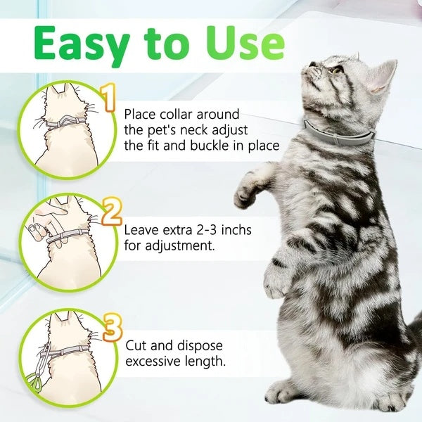 Flea And Tick Collar For Cats, 8 Months Of Cat Flea Collar Protection Made With Premium Plant Based Essential Oil Natural Treatment Prevention Free Comb And Prevention Treatment Drop - MAYONAL STORE