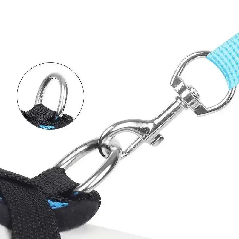 Blue Dog Harness - Size L | Stylish & Comfortable for Your Pet