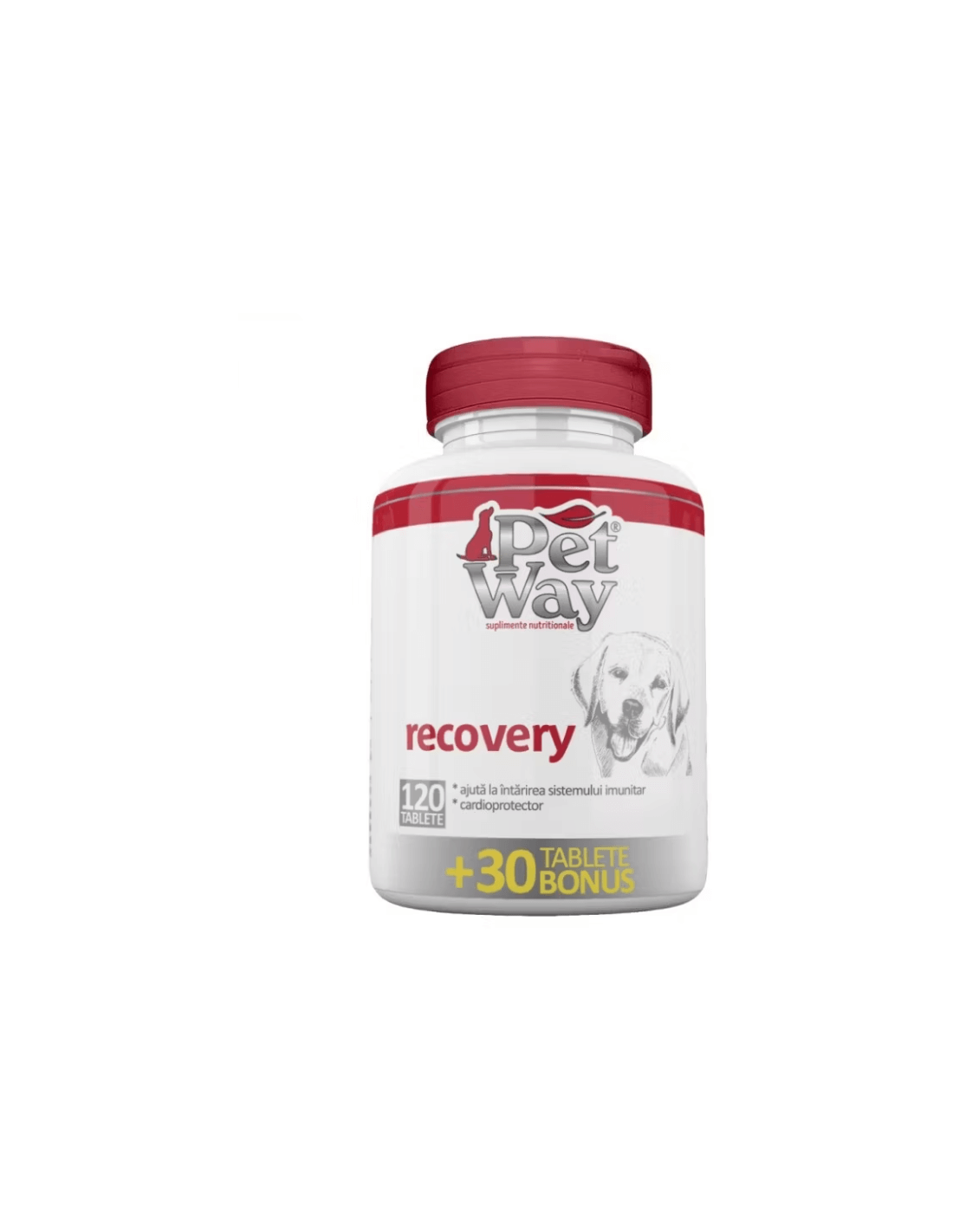 Petway Recovery Tablets 120 Tabs - Nutritional Support for Pets - MAYONAL STORE