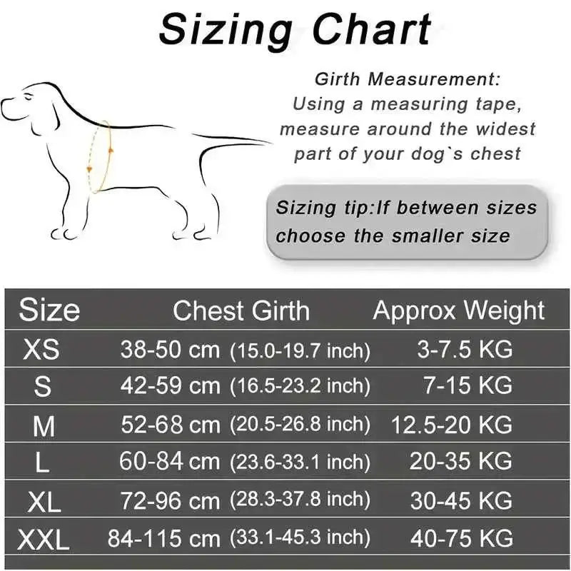 Blue Dog Harness - Size L | Stylish & Comfortable for Your Pet